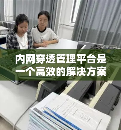 内网穿透管理平台是一个高效的解决方案,用于管理内部网络(内网)与外部网络之间的穿透服务。以下是对内网穿透管理平台的详细分析和建议 内网穿透管理平台是一个高效的解决方案,用于管理内部网络(内网)与外部网络之间的穿透服务。以下是对内网穿透管理平台的详细分析和建议