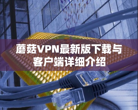 蘑菇VPN最新版下载与客户端详细介绍 蘑菇VPN最新版下载与客户端详细介绍
