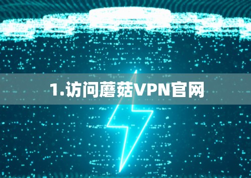 1.访问蘑菇VPN官网