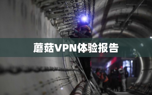 蘑菇VPN体验报告
