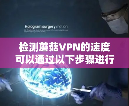 检测蘑菇VPN的速度可以通过以下步骤进行