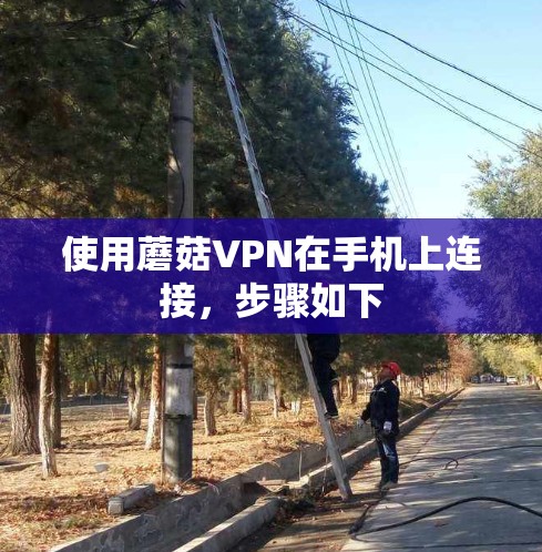 使用蘑菇VPN在手机上连接,步骤如下 使用蘑菇VPN在手机上连接,步骤如下