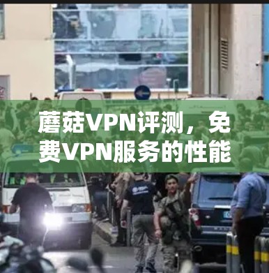 蘑菇VPN评测,免费VPN服务的性能与安全性分析