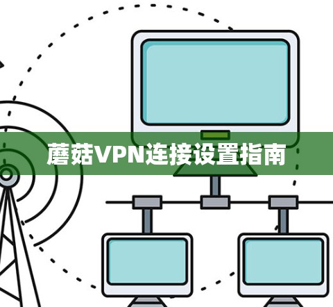蘑菇VPN连接设置指南