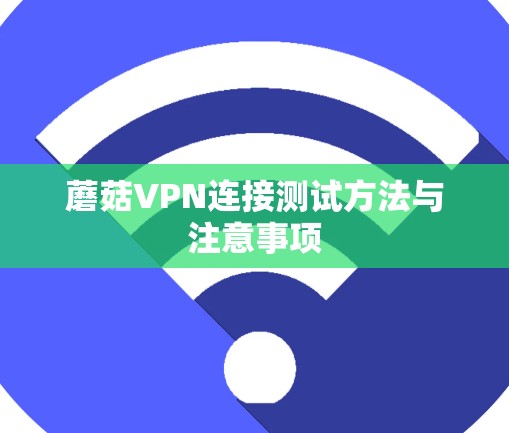 蘑菇VPN连接测试方法与注意事项