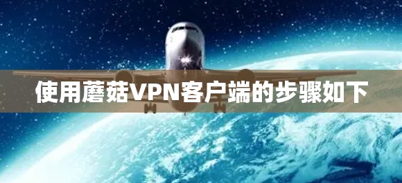 使用蘑菇VPN客户端的步骤如下 使用蘑菇VPN客户端的步骤如下