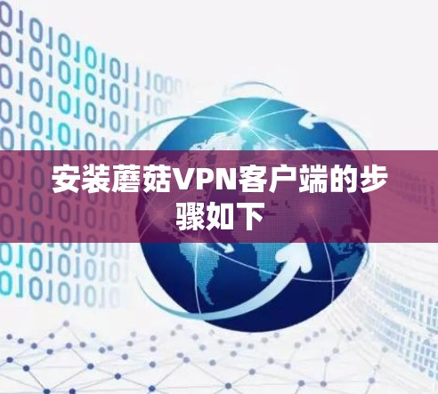 安装蘑菇VPN客户端的步骤如下