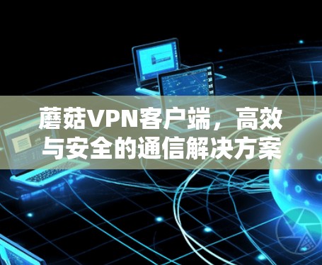 蘑菇VPN客户端，高效与安全的通信解决方案