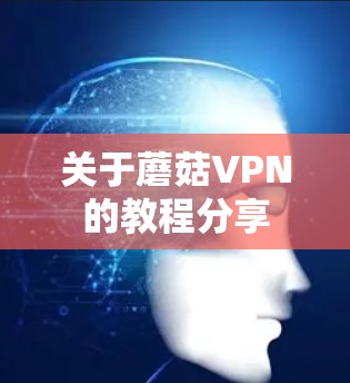 关于蘑菇VPN的教程分享