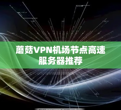 蘑菇VPN机场节点高速服务器推荐 蘑菇VPN机场节点高速服务器推荐
