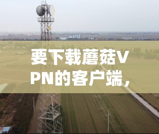 要下载蘑菇VPN的客户端，请按照以下步骤操作