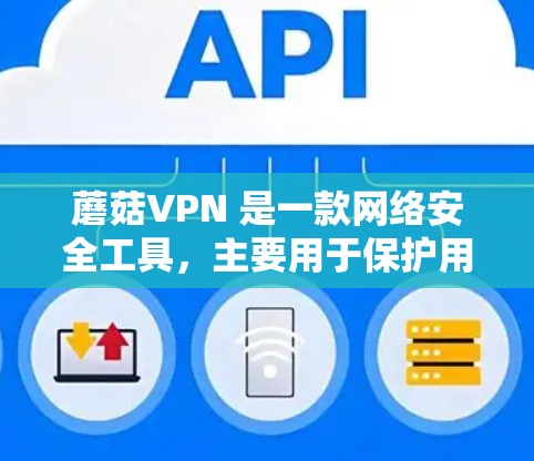 蘑菇VPN 是一款网络安全工具，主要用于保护用户的网络隐私和安全。以下是对蘑菇VPN 功能的评测和分析