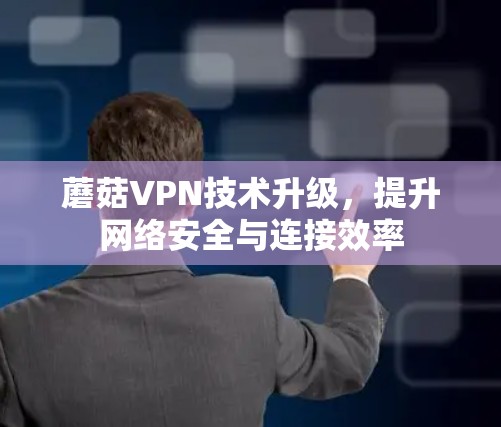 蘑菇VPN技术升级,提升网络安全与连接效率 蘑菇VPN技术升级,提升网络安全与连接效率