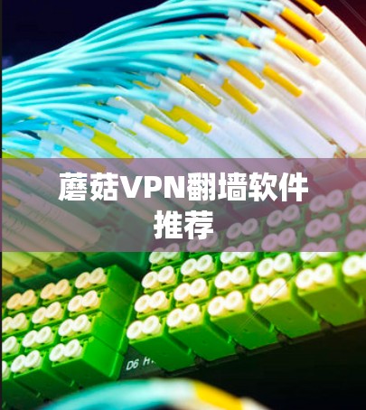 蘑菇VPN翻墙软件推荐 蘑菇VPN翻墙软件推荐