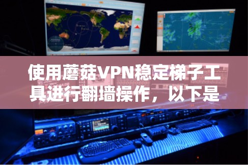 使用蘑菇VPN稳定梯子工具进行翻墙操作,以下是详细的步骤指南 使用蘑菇VPN稳定梯子工具进行翻墙操作,以下是详细的步骤指南