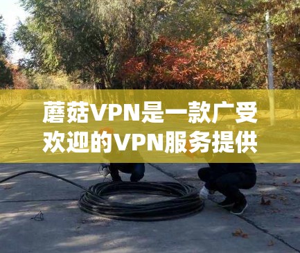 蘑菇VPN是一款广受欢迎的VPN服务提供商,专为中国用户设计,能够绕过网络限制,访问国外网站和服务。蘑菇VPN提供多平台客户端,包括电脑版客户端,以下是使用蘑菇VPN电脑版客户端的步骤 蘑菇VPN是一款广受欢迎的VPN服务提供商,专为中国用户设计,能够绕过网络限制,访问国外网站和服务。蘑菇VPN提供多平台客户端,包括电脑版客户端,以下是使用蘑菇VPN电脑版客户端的步骤