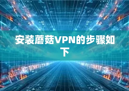安装蘑菇VPN的步骤如下
