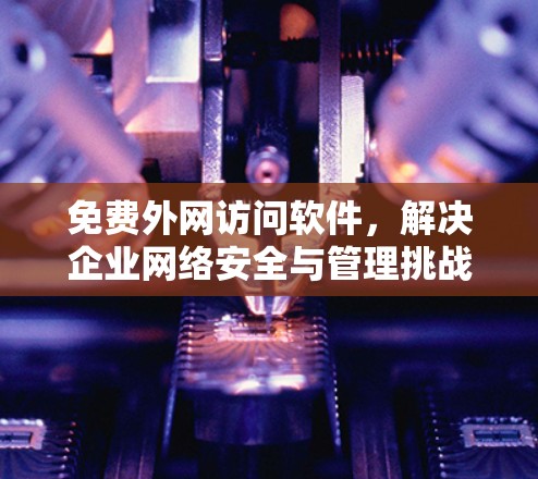 免费外网访问软件，解决企业网络安全与管理挑战