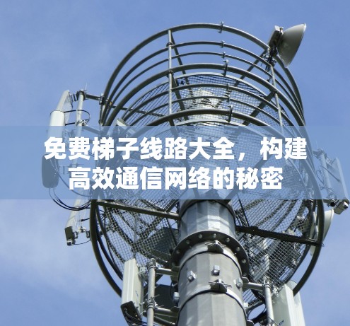 免费梯子线路大全,构建高效通信网络的秘密
