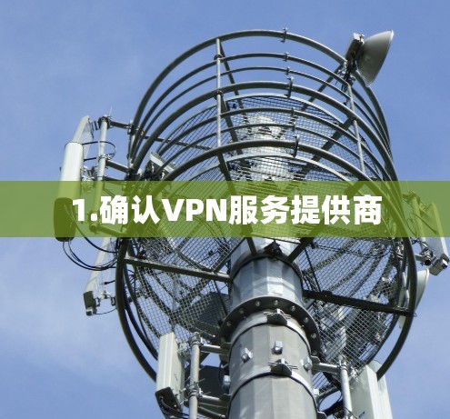 1.确认VPN服务提供商 1.确认VPN服务提供商