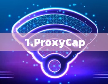 1.ProxyCap