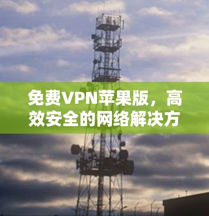 免费VPN苹果版，高效安全的网络解决方案