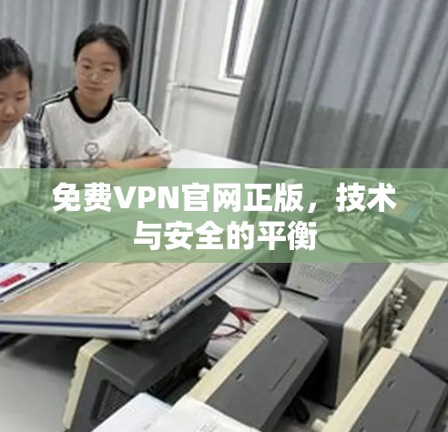 免费VPN官网正版，技术与安全的平衡
