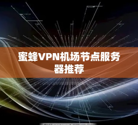 蜜蜂VPN机场节点服务器推荐 蜜蜂VPN机场节点服务器推荐