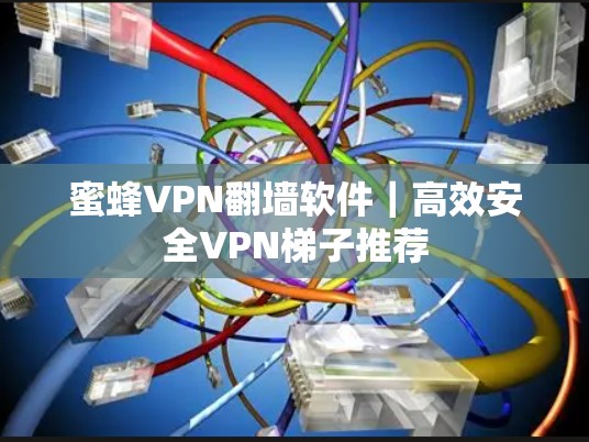 蜜蜂VPN翻墙软件|高效安全VPN梯子推荐 蜜蜂VPN翻墙软件|高效安全VPN梯子推荐