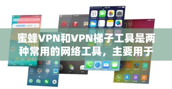 蜜蜂VPN和VPN梯子工具是两种常用的网络工具，主要用于实现网络加密、匿名访问和绕过网络限制。以下是对它们的详细介绍