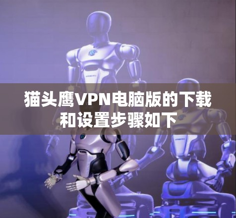 猫头鹰VPN电脑版的下载和设置步骤如下