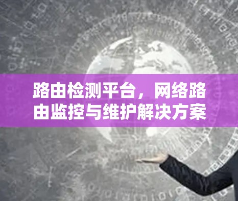 路由检测平台,网络路由监控与维护解决方案 路由检测平台,网络路由监控与维护解决方案