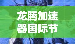 龙腾加速器国际节点是一个分布在全球多个地区的高性能计算网络，旨在为用户提供快速、安全和可靠的数据处理和加速服务。以下是关于龙腾加速器国际节点的详细分析