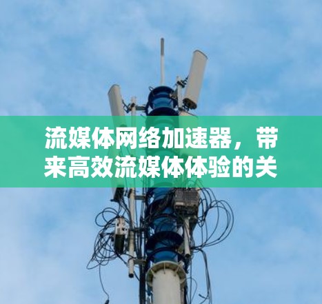 流媒体网络加速器，带来高效流媒体体验的关键技术