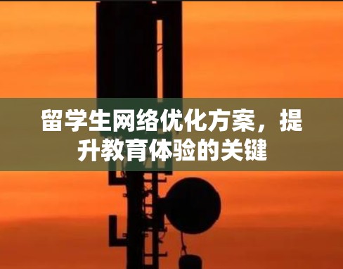 留学生网络优化方案，提升教育体验的关键