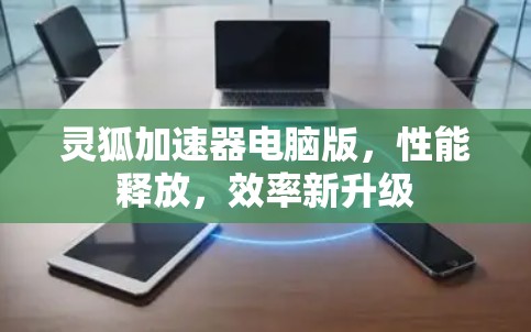 灵狐加速器电脑版,性能释放,效率新升级