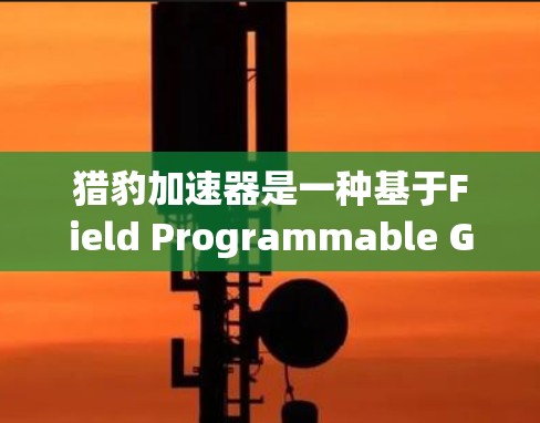 猎豹加速器是一种基于Field Programmable Gate Array FPGA)的网络加速技术,旨在优化数据中心的网络性能。以下是对猎豹加速器的详细分析和总结