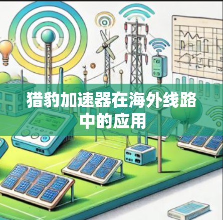 猎豹加速器在海外线路中的应用