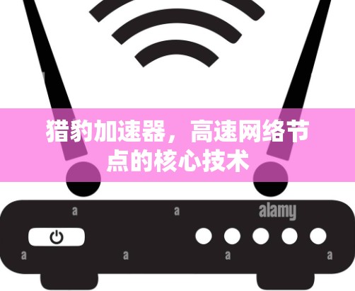 猎豹加速器,高速网络节点的核心技术
