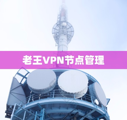 老王VPN节点管理 老王VPN节点管理