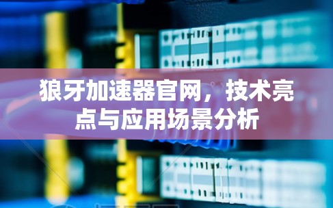 狼牙加速器官网，技术亮点与应用场景分析