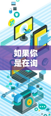 如果你是在询问某个特定的加速器软件或技术（例如，基于DirectX、CUDA或其他加速技术的工具）可以提供更多细节，我可以帮助你解释其在电脑端的使用方法和优势