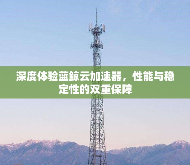 深度体验蓝鲸云加速器,性能与稳定性的双重保障 深度体验蓝鲸云加速器,性能与稳定性的双重保障