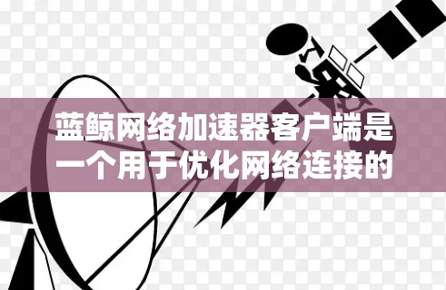 蓝鲸网络加速器客户端是一个用于优化网络连接的软件工具,旨在加速网络流量和数据传输。以下是对该客户端的详细分析和总结