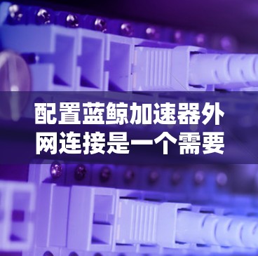 配置蓝鲸加速器外网连接是一个需要仔细规划和执行的过程，涉及多个关键环节。以下是对该过程的分步解释