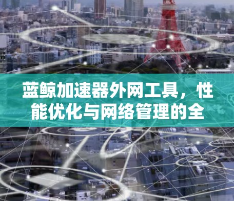 蓝鲸加速器外网工具,性能优化与网络管理的全新解决方案 蓝鲸加速器外网工具,性能优化与网络管理的全新解决方案