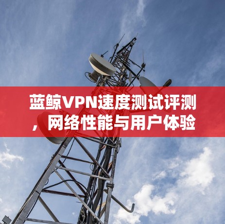 蓝鲸VPN速度测试评测，网络性能与用户体验分析