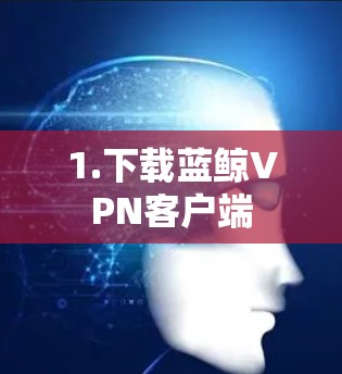1.下载蓝鲸VPN客户端