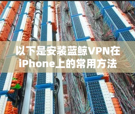 以下是安装蓝鲸VPN在iPhone上的常用方法