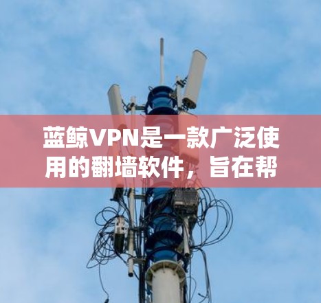 蓝鲸VPN是一款广泛使用的翻墙软件，旨在帮助用户绕过网络限制，访问被限制的网站和服务。以下是一些关于蓝鲸VPN的关键信息和特点